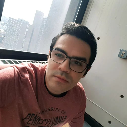 Prof. Paulo Porfírio